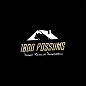 1800POSSUMS - Possum Removal Brisbane